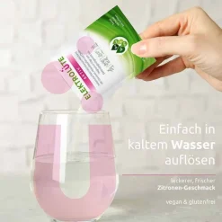 Dr. Theiss Elektrolüte Aktiv Pulver Sachets, 15 St