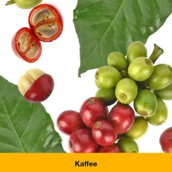 dystoLoges® Tabletten, 100 St