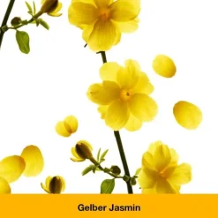 Dr. Loges dystoLoges® Tabletten, 260 St><noscript><img width=