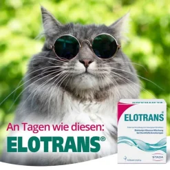 Elotrans Pulver, 10 St