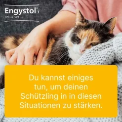 Engystol ® ad us. vet. Tabletten, 100 St><noscript><img width=