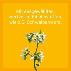 Engystol ® ad us. vet. Tabletten, 100 St><noscript><img width=