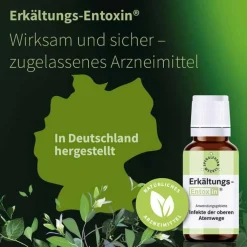 Erkältungs Entoxin Tropfen, 100 ml