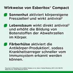 Esberitox ® Compact Bei Erkältungskrankheiten, 40 St><noscript><img width=