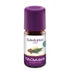 Taoasis Eukalyptus radiata Öl Bio, 5 ml> Ätherische Öle & Duftöle