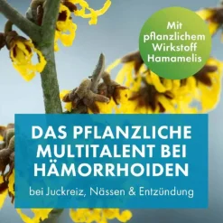 FAKTU lind Hämorrhoidenzäpfchen mit Hamamelis, 25 St
