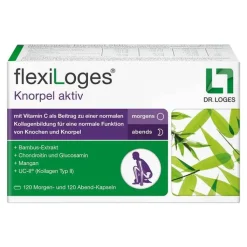 Flexiloges Knorpel aktiv Kapseln, 240 St