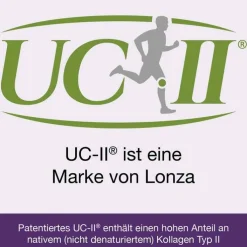 Flexiloges Knorpel aktiv Kapseln, 240 St