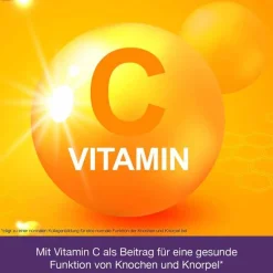 Flexiloges Knorpel aktiv Kapseln, 240 St