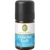 Frische Luft Duftmischung ätherisches Öl, 5 ml