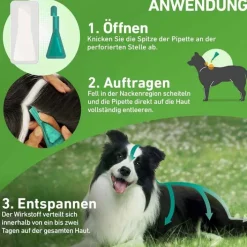 Frontline COMBO® gegen Zecken, Flöhe bei Hunden XL (40-60 kg), 3 St><noscript><img width=