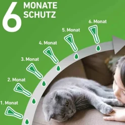 Frontline COMBO® SPOT ON Katze, 6 St><noscript><img width=