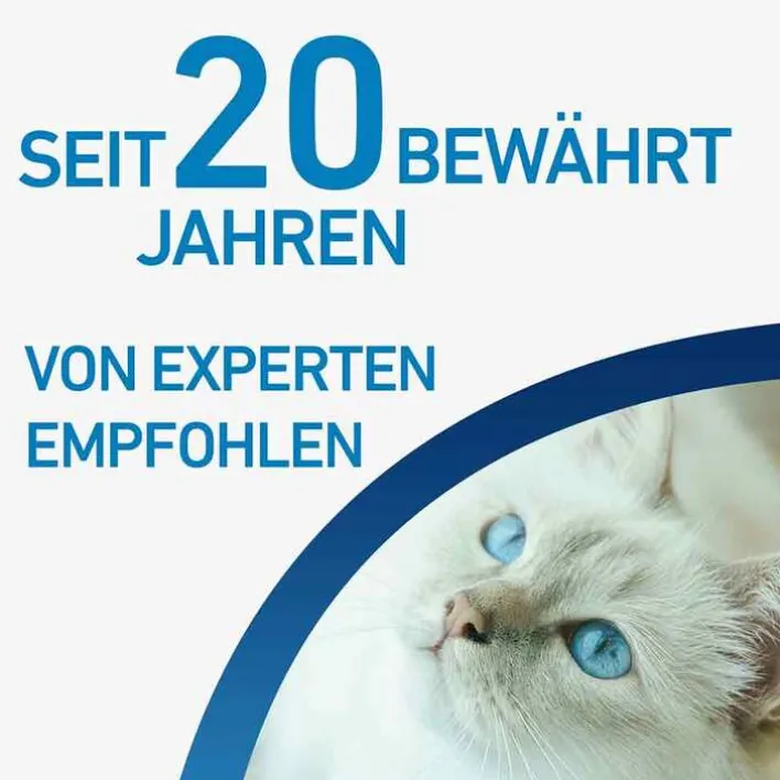 Frontline ® SPOT ON Katze , 6 St> Flöhe, Zecken & Co.