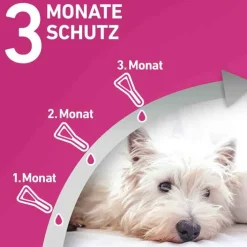 Frontline TRI-ACT® gegen Zecke, Floh und fliegende Insekten bei Hunden (5-10kg), 3 St><noscript><img width=