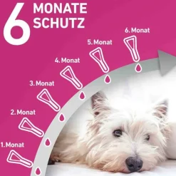 FRONTLINE TRI-ACT® gegen Zecke, Floh und fliegende Insekten bei Hunden (20-40kg), 6 St