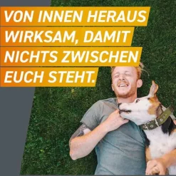 FRONTPRO 136 mg Kautabletten für Hunde 25 - 50 kg, 3 St