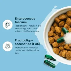 Gasteel Diät-Ergänzungsfuttermittel Kapseln für Hunde / Katzen, 50 St