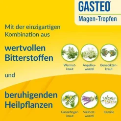 GASTEO Tropfen bei Magen-Darm-Beschwerden, 50 ml