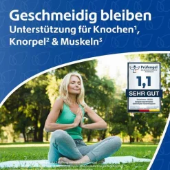 R(h)ein Nutrition Gelenkfutter Gelenkkapseln, 240 St> Kollagen