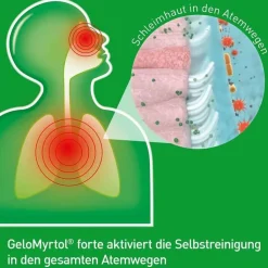 GeloMyrtol forte Kapseln, 100 St