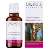 Dr. Koll Gemmo Mazerat Mammutbaum Sequoia gigantea, 50 ml> Gemmo Therapie
