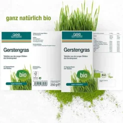 GSE Gerstengras 500 mg Bio Tabletten, 500 St> Gerstengras|Sonstige Bio Produkte