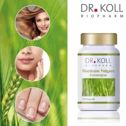 Gerstengras Hordeum vulgare Kapseln, 120 St