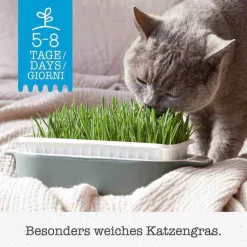 Gimpet Soft Gras für Katzen, 100 g> Futter & Snacks