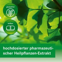 GINKGOVITAL Heumann 120 mg Filmtabletten, 120 St