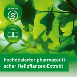Heumann GINKGOVITAL 120 mg Filmtabletten, 30 St><noscript><img width=