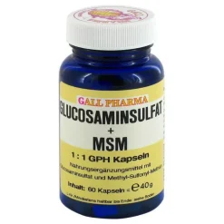 Hecht Pharma Glucosaminsulfat + MSM 1:1 Kapseln, 60 St> Msm Schwefel|Glucosamin-Chondroitin