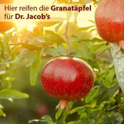 Dr. Jacobs Granatapfel Elixier Dr. Jacob`s, 500 ml><noscript><img width=