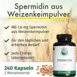 Green Naturals Spermidin 1,6 mg vegan Kapseln, 240 St> Spermidin