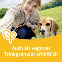 Grippostad C Hartkapseln bei Erkältung, 24 St><noscript><img width=