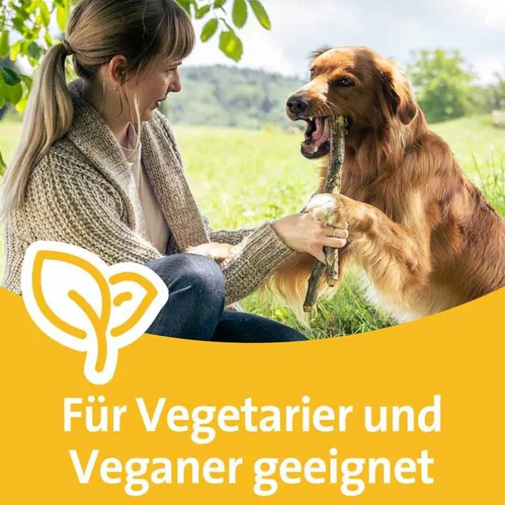 Grippostad C Stickpack bei Erkältung, 12 St> Grippemittel