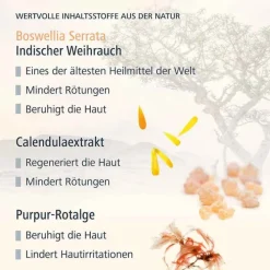 Haut in Balance Coupeliac Tuchmasken Intensiv-Kur, 1 St><noscript><img width=