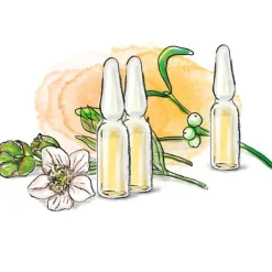 Helixor M® 5 mg Ampullen, 8 St> Mistelpräparate