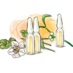 Helixor P® Serienpackung IV, 7 St