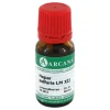 Arcana Hepar sulfuris LM 12 Dilution, 10 ml> E-L|H