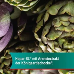 Hepar-SL® 640 mg Filmtabletten, 100 St