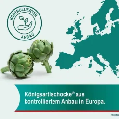 Hepar-SL® 640 mg Filmtabletten, 100 St