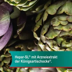 Hepar-SL ® 320 mg Hartkapseln, 100 St><noscript><img width=