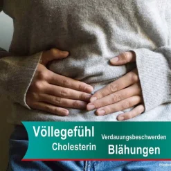 Hepar-SL® 320 mg Hartkapseln, 200 St