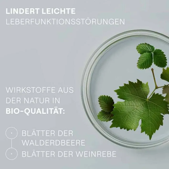 Weleda Hepatodoron Tabletten, 200 St>Kinder Leber & Galle|Abführmittel