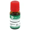 Hyoscyamus Arcana LM 6 Dilution, 10 ml