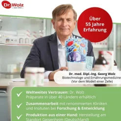 Ingwer Extrakt Dr. Wolz Kapseln, 120 St