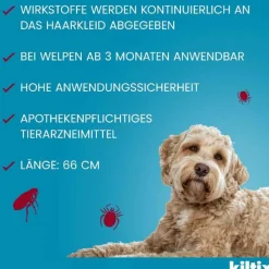 Kiltix für große Hunde Halsband, 1 St
