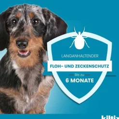 Kiltix für kleine Hunde Halsband, 1 St