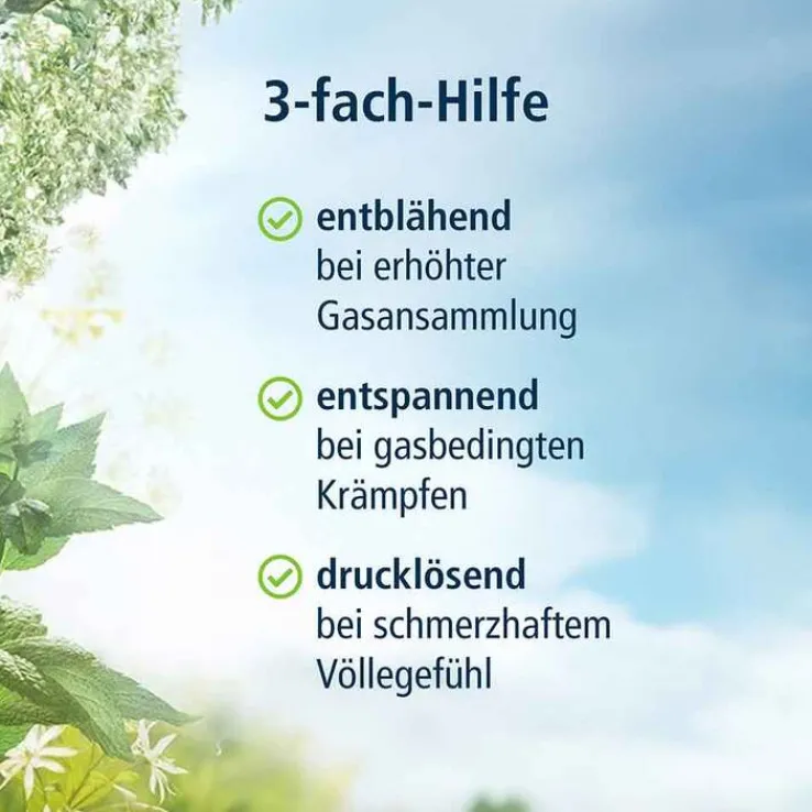 KLOSTERFRAU Magen-Darm Entspannung, 20 St