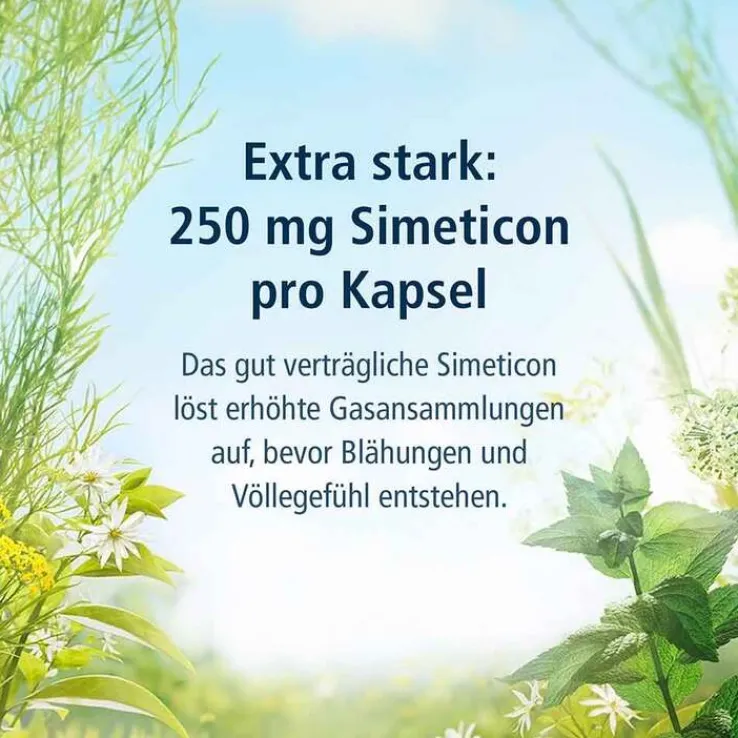 KLOSTERFRAU Magen-Darm Entspannung, 20 St